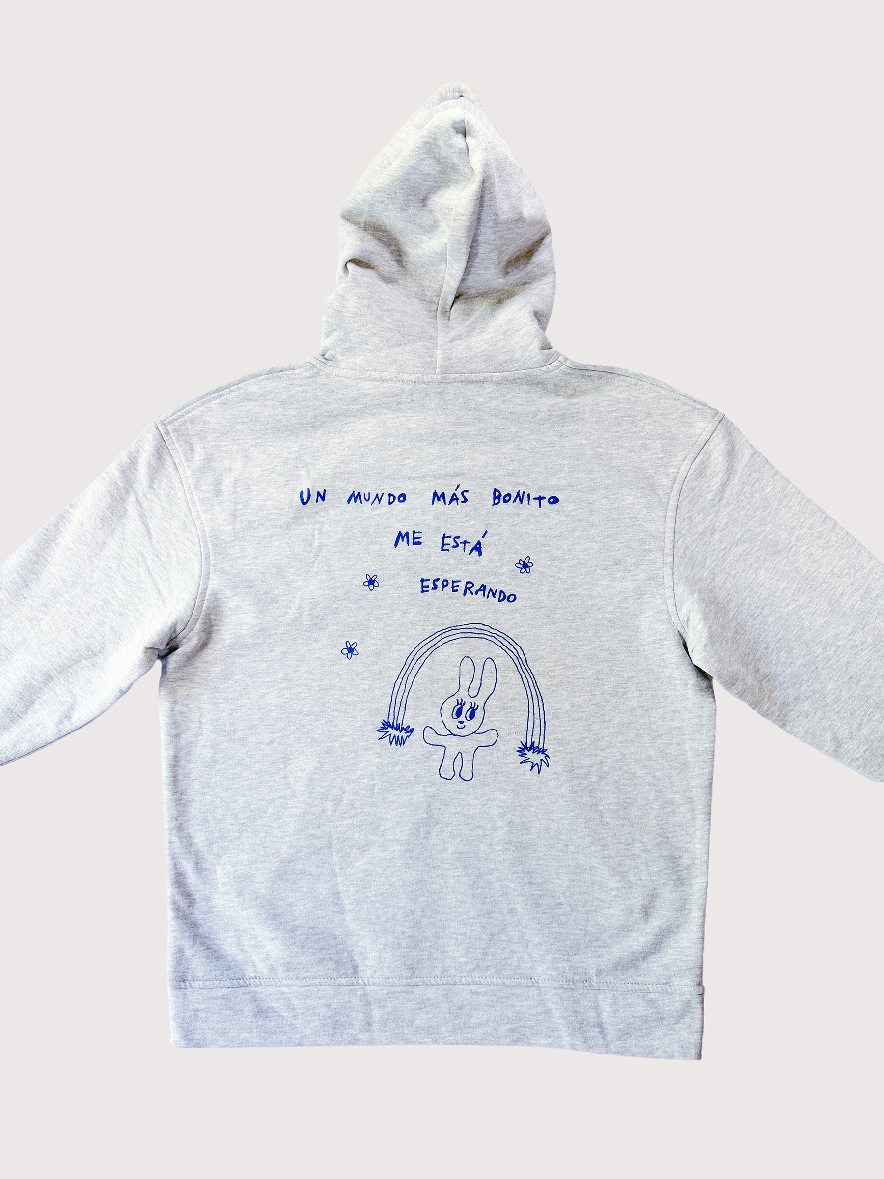 Un mundo más bonito, Hoodie gris