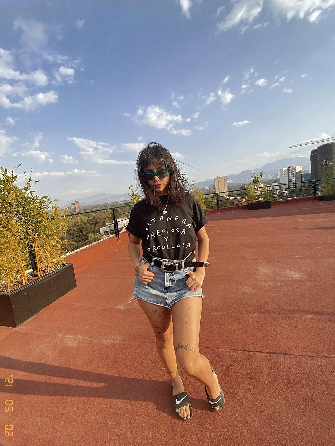 Altanera, preciosa y orgullosa, T shirt